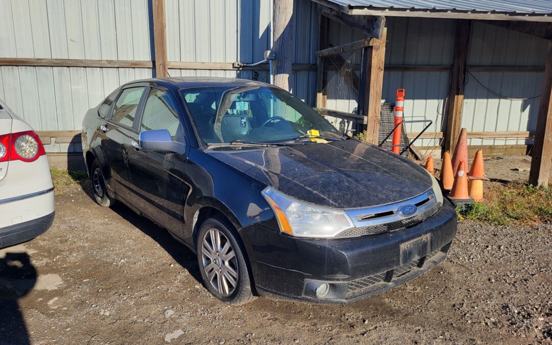 2010 Ford Focus (Black)