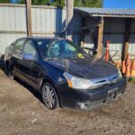 2010 Ford Focus (Black)