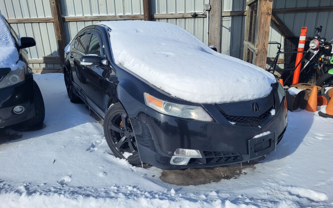 2010 Acura TL (Black)